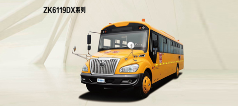 ZK6119DX