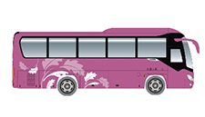 ZK6876H