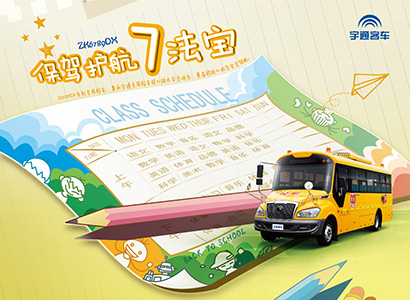 ZK6789DX